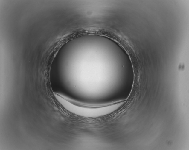 X0000090611445200708141341