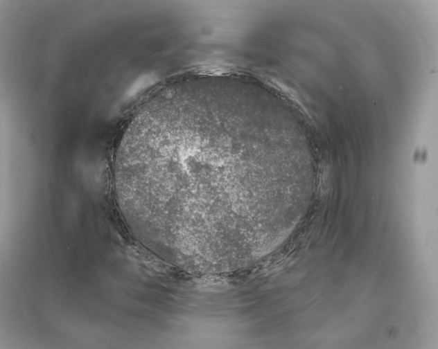 X0000090611446200708141341