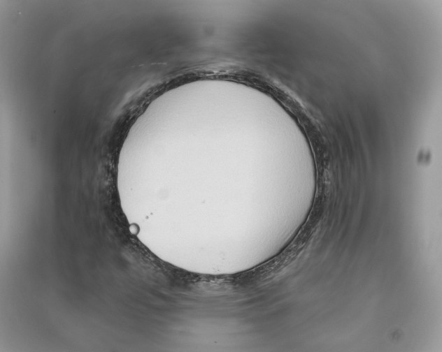 X0000090611447200708141341