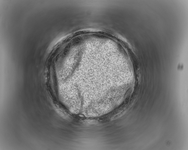 X0000090611448200708141341