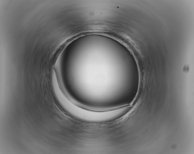 X0000090611449200708141341