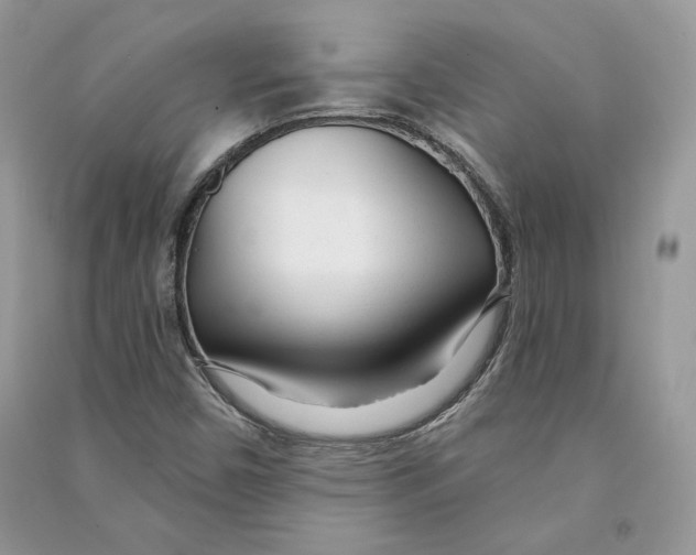 X0000090611450200708141341