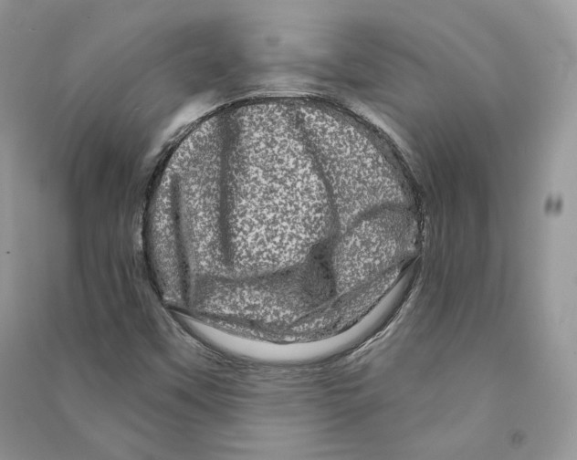 X0000090611451200708141341