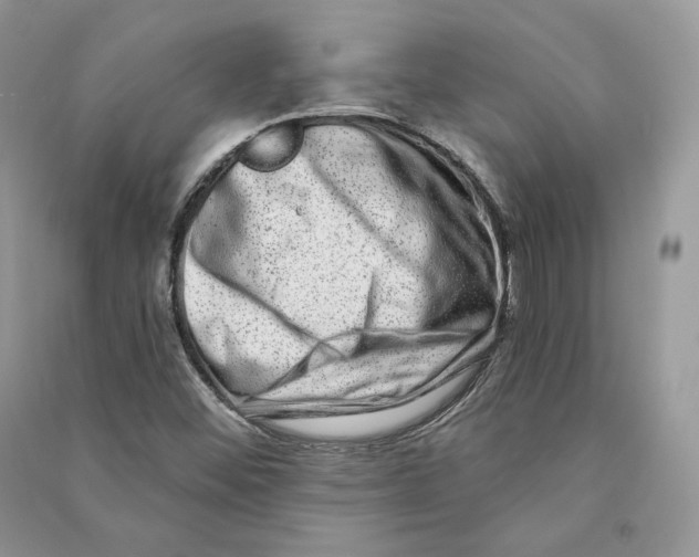 X0000090611452200708141341