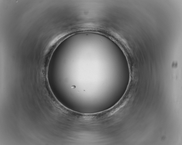 X0000090611453200708141341