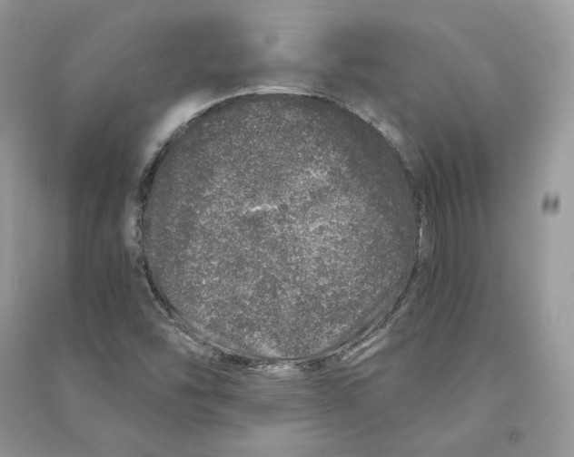 X0000090611454200708141341