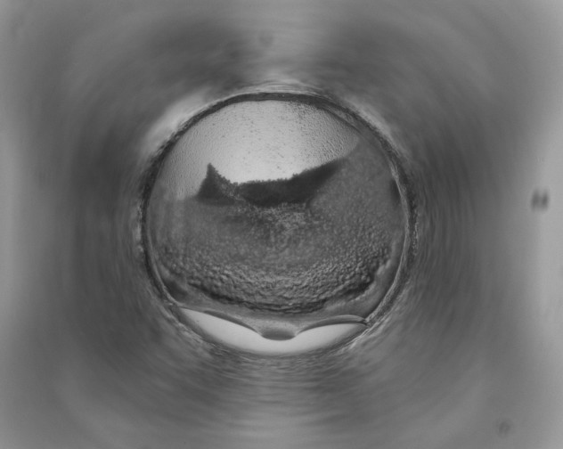 X0000090611455200708141341