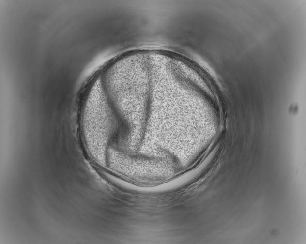 X0000090611456200708141341