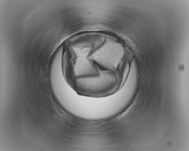 X0000090611457200708141341