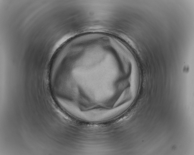 X0000090611458200708141341