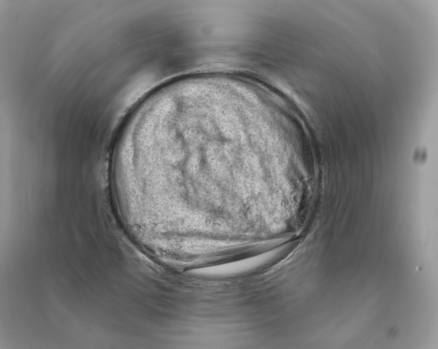 X0000090611459200708141341