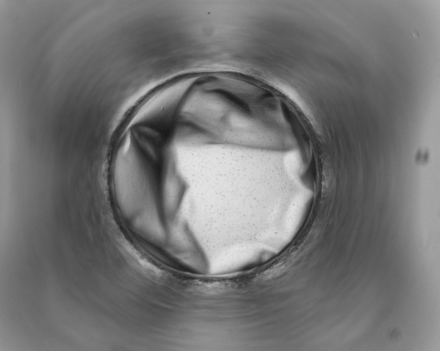 X0000090611460200708141341