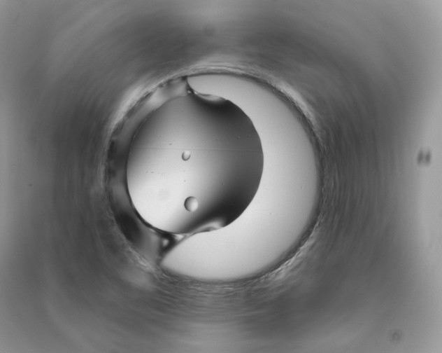 X0000090611461200708141341