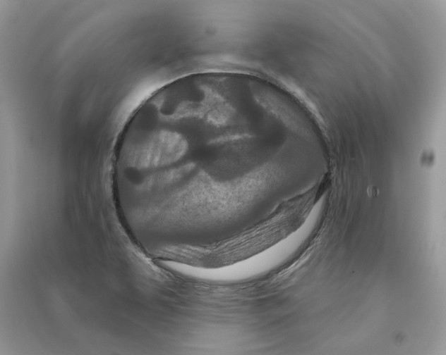 X0000090611463200708141341