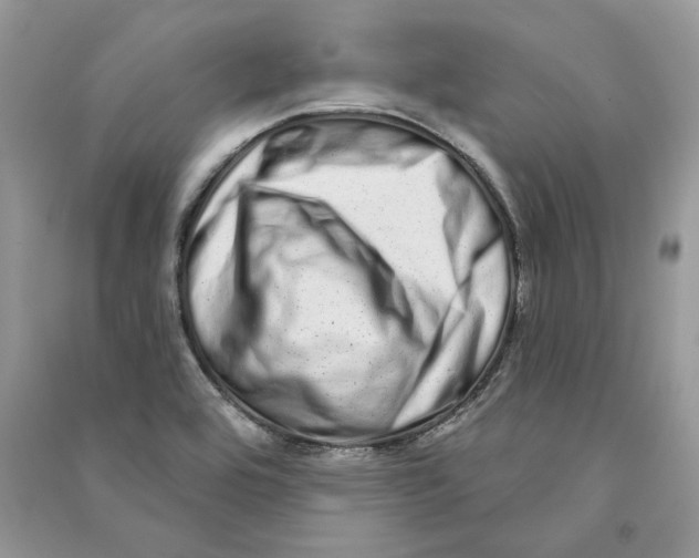 X0000090611464200708141341