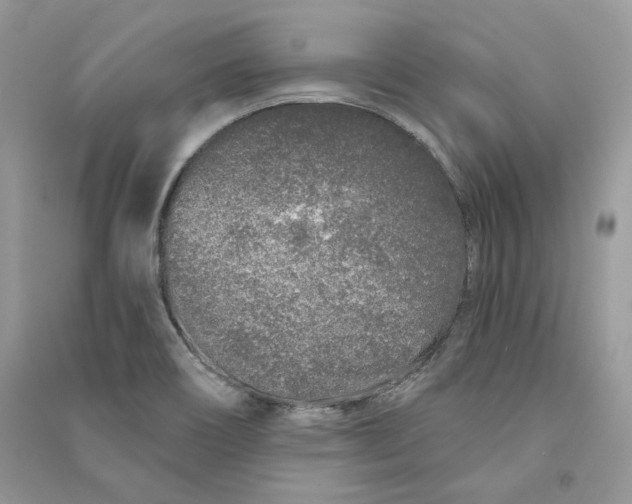 X0000090611466200708141341