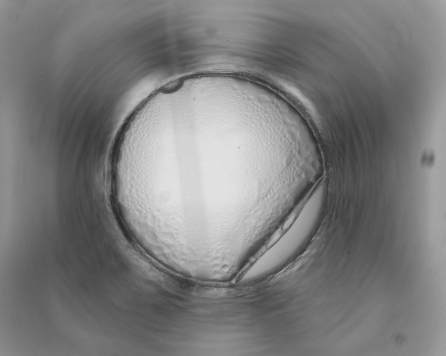 X0000090611467200708141341