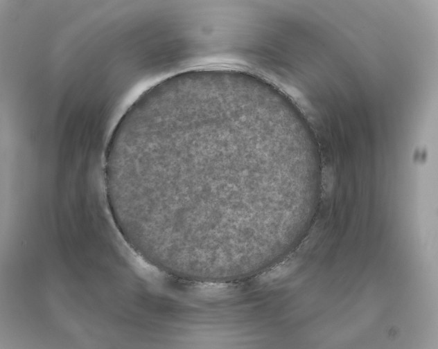 X0000090611470200708141341