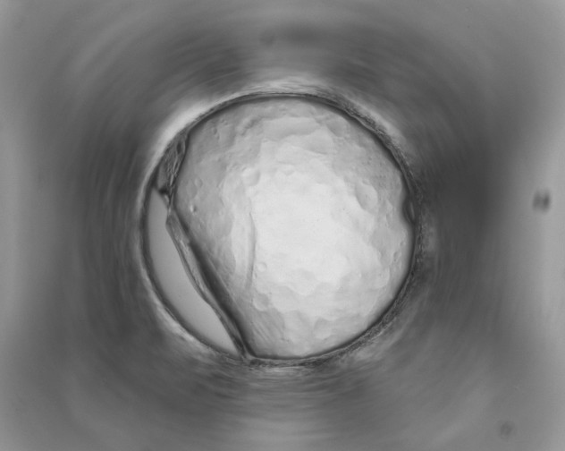 X0000090611471200708141341