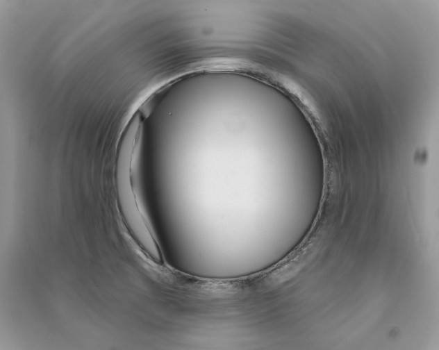 X0000090611473200708141341