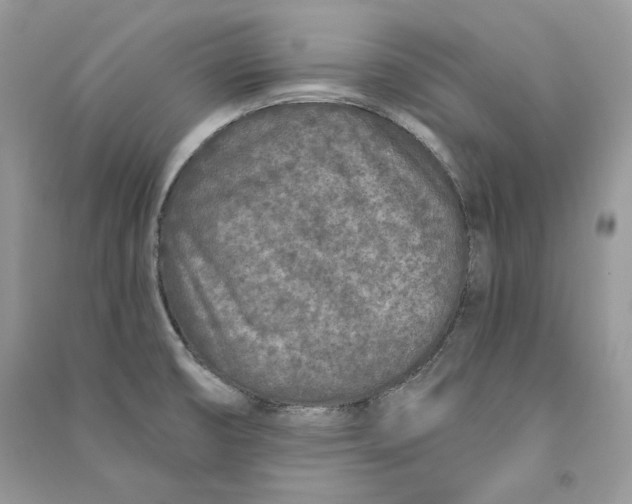 X0000090611474200708141341