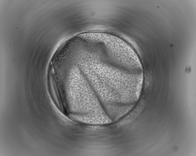 X0000090611475200708141341