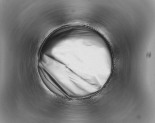 X0000090611476200708141341