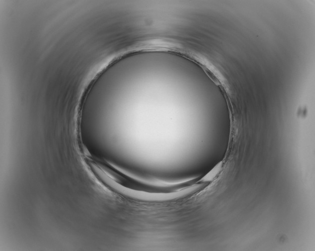 X0000090611477200708141341