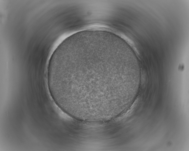 X0000090611478200708141341