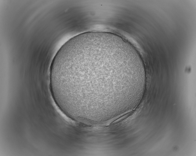 X0000090611479200708141341