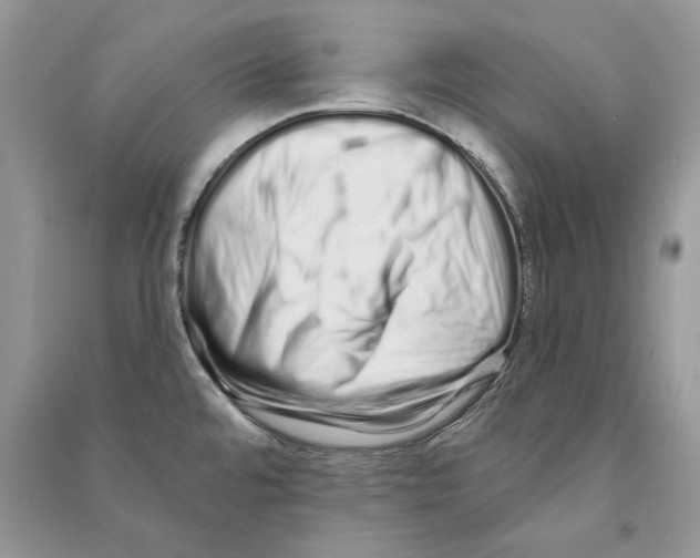 X0000090611480200708141341