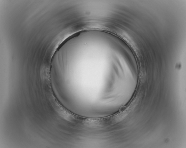 X0000090611481200708141341