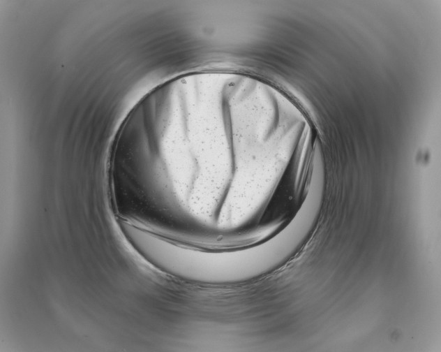 X0000090611483200708141341