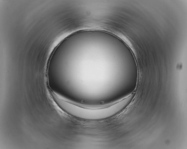 X0000090611485200708141341