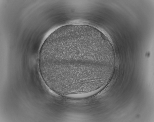 X0000090611486200708141341