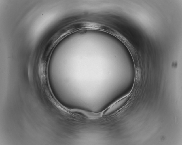 X0000090611487200708141341