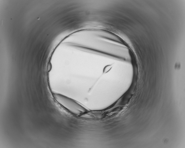 X0000090611488200708141341