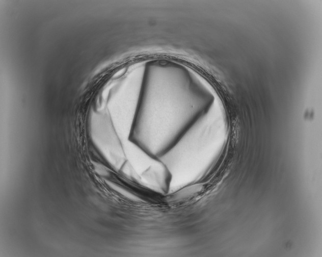 X0000090611494200708141340