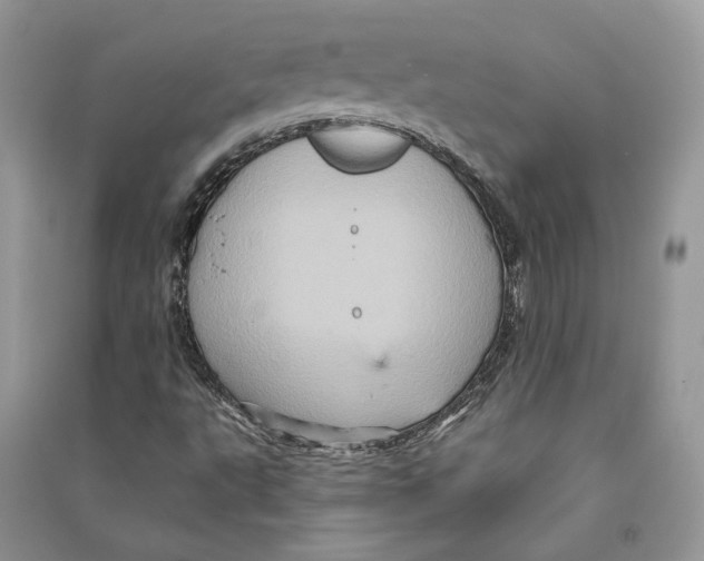 X0000090611495200708141340