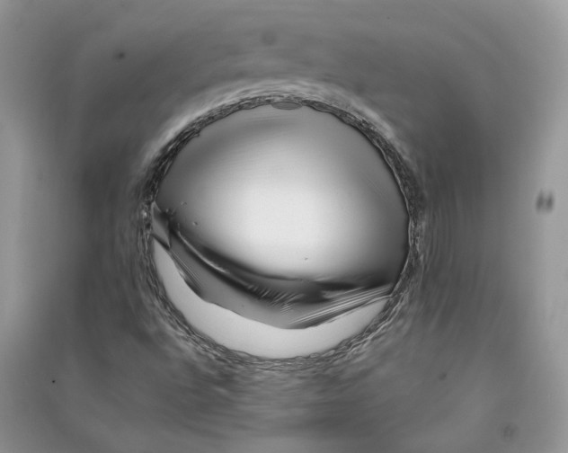 X0000090611496200708141340