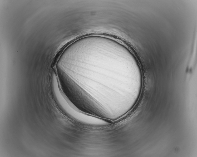 X0000090611497200708141340