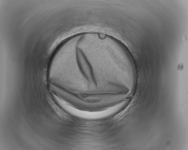 X0000090611499200708141340