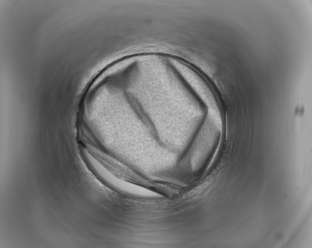 X0000090611500200708141340