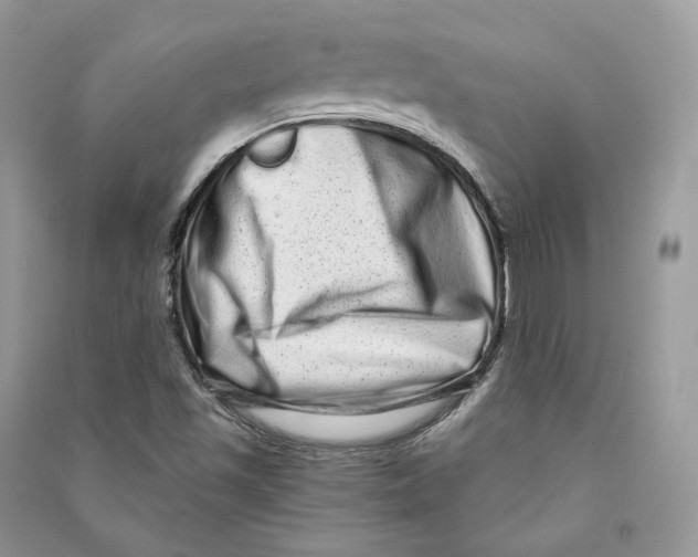 X0000090611501200708141340