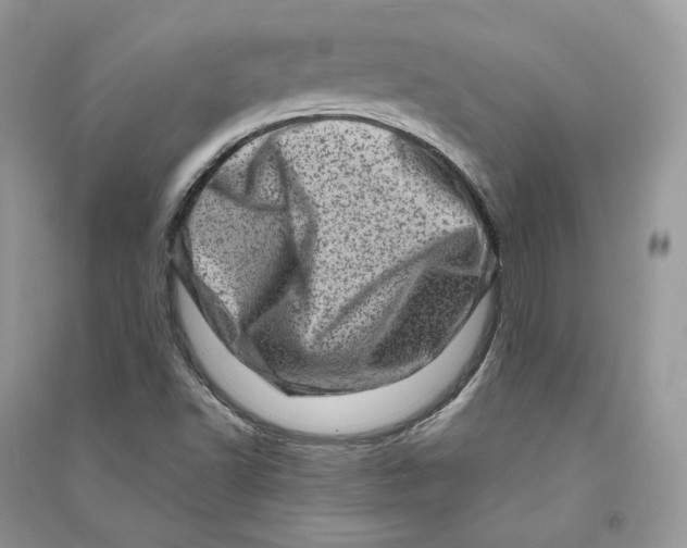 X0000090611502200708141340