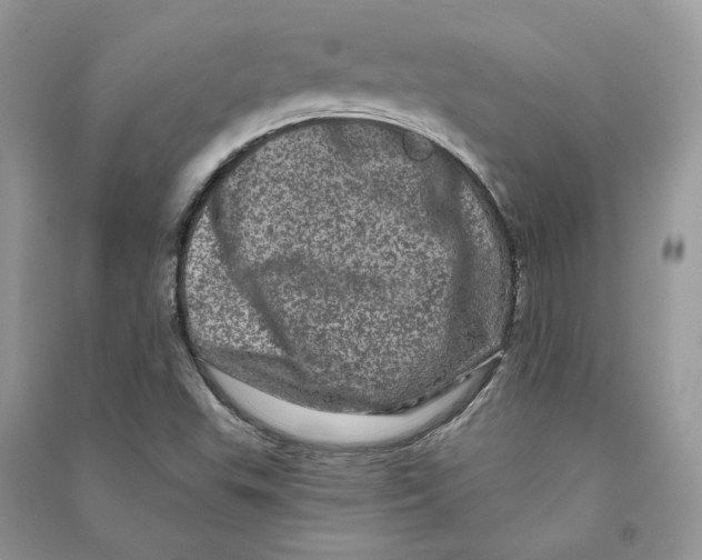 X0000090611503200708141340