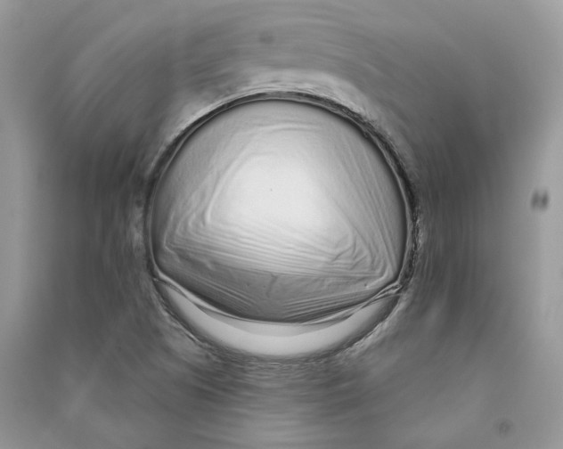 X0000090611505200708141340