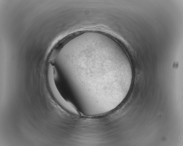 X0000090611506200708141340