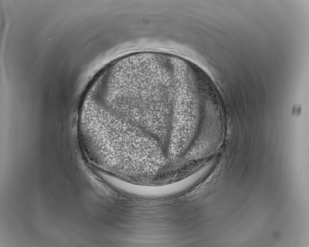 X0000090611507200708141340