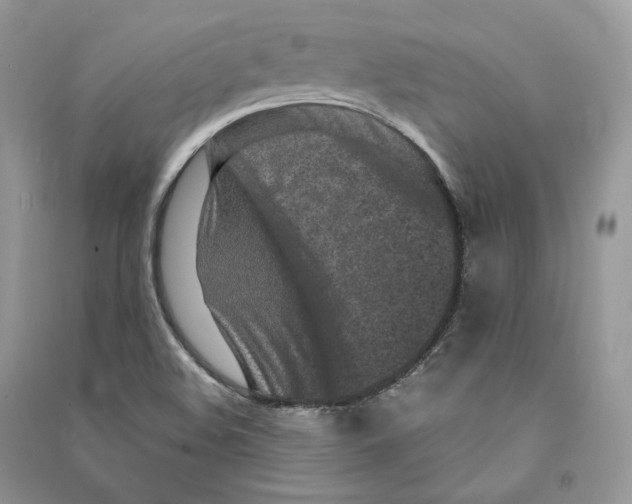 X0000090611508200708141340